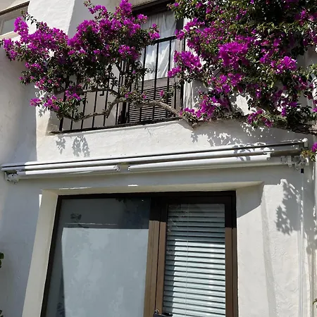 Lägenhet - Playa - 2 Con Terraza Y Jardin Al Lado Del Mar Jo6 *